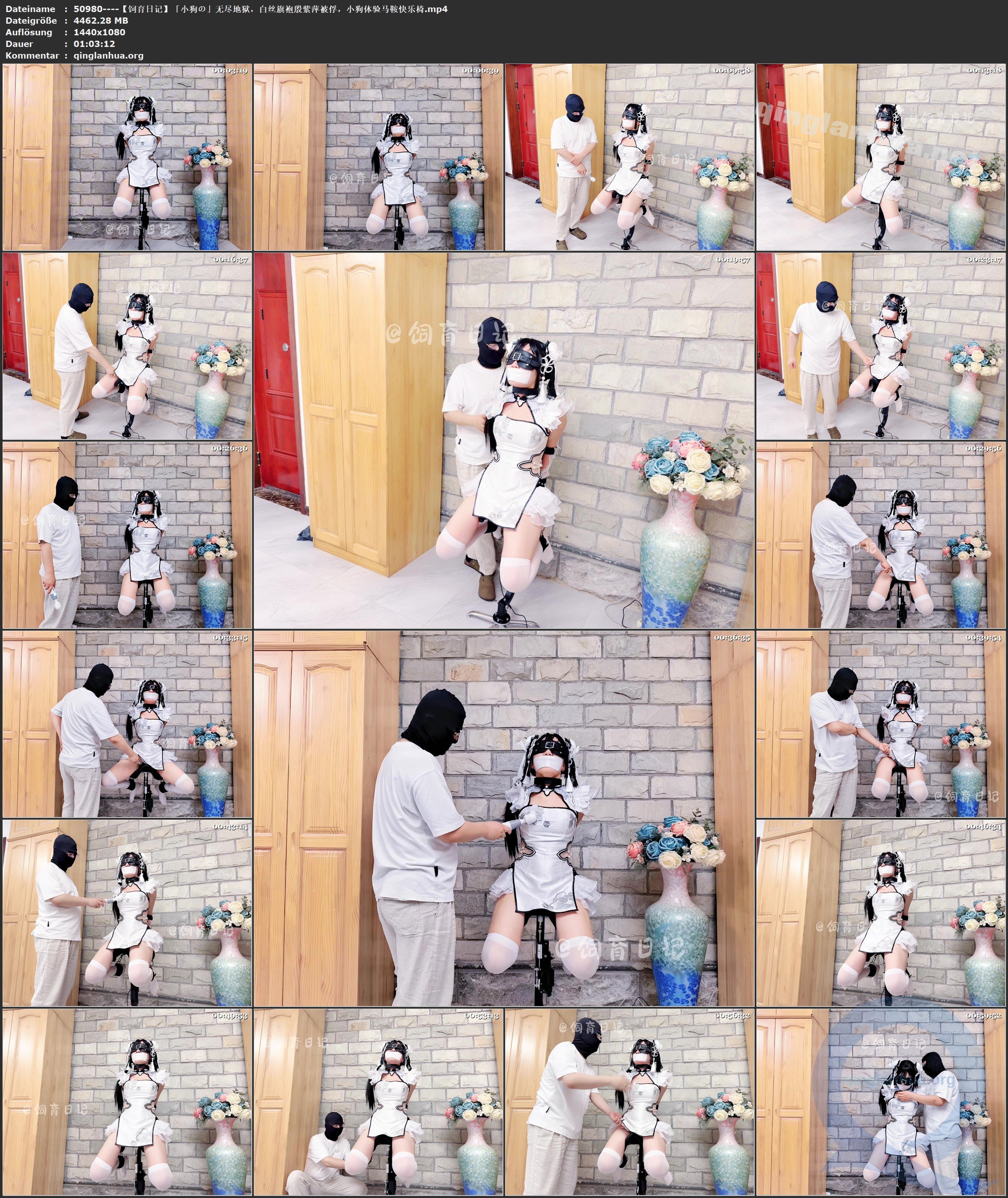 50980----【饲育日记】「小狗の」无尽地狱，白丝旗袍殷紫萍被俘，小狗体验马鞍快乐椅.jpg