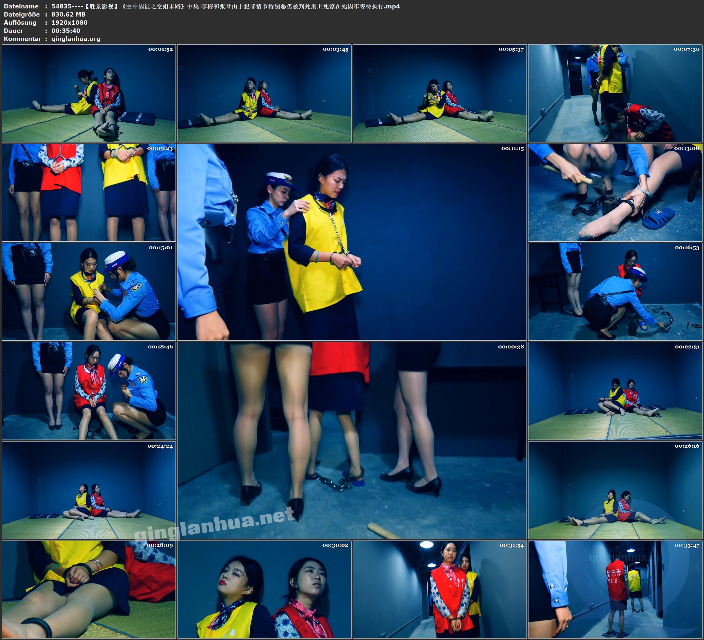 54835----【胜景影视】《空中囚徒之空姐末路》中集 李梅和张琴由于犯罪情节特别恶劣被.jpg