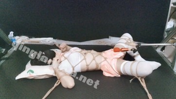 【小系】［伪娘/捆绑/折磨/强高］母狗恋绳折磨高潮夜