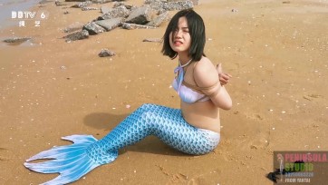 【半岛束艺台】海语基因突变，美人鱼的TK之旅